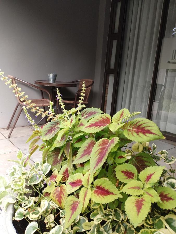 فاندربايلبارك Ditsaleng Bed And Breakfast المظهر الخارجي الصورة